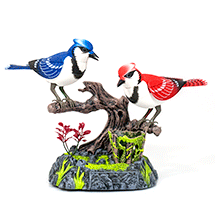 Aspundir: Love Birds
