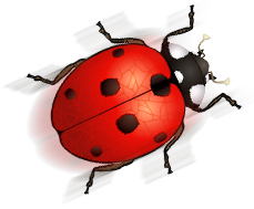 Lady Beetle | Free Fashion and Beauty Clipart | free fashion ...