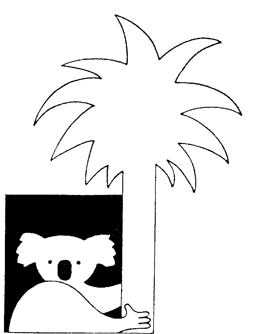 KOALA,SILHOUETTE,HEAD & SHOULDERS CLIMBING PALM TREE by Brisbane ...