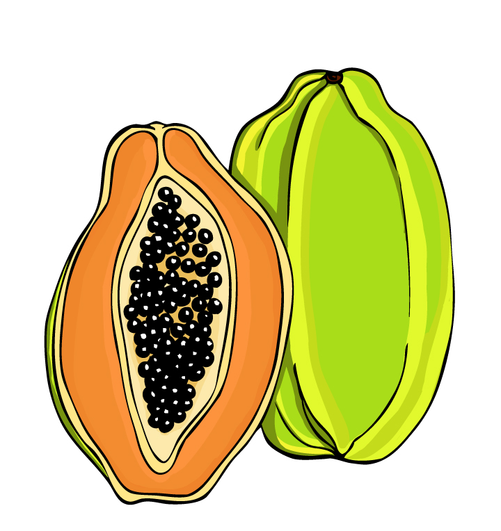 Papaya Art