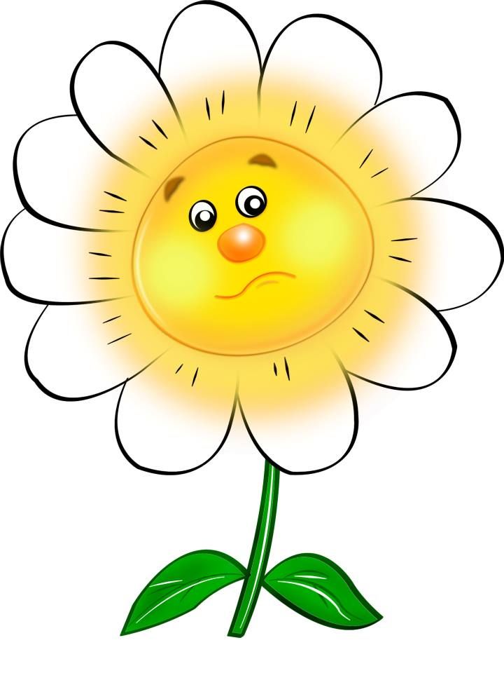 1000+ images about Clip Art, etc.-Flowers