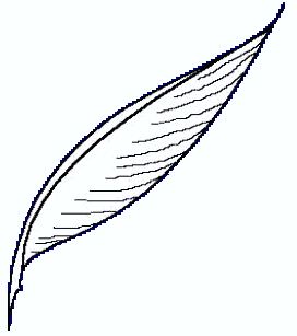 Quill Clipart - Tumundografico