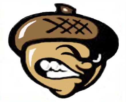 Angry Acorn