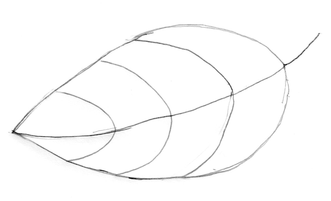 Simple Tree Outline