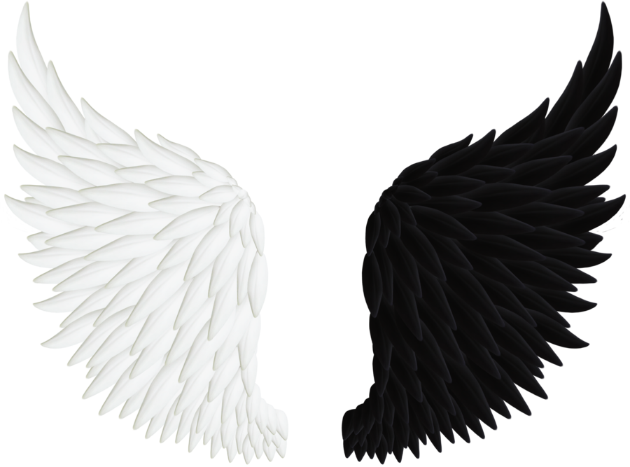 Angel Wings Png | White Angel Wings ...