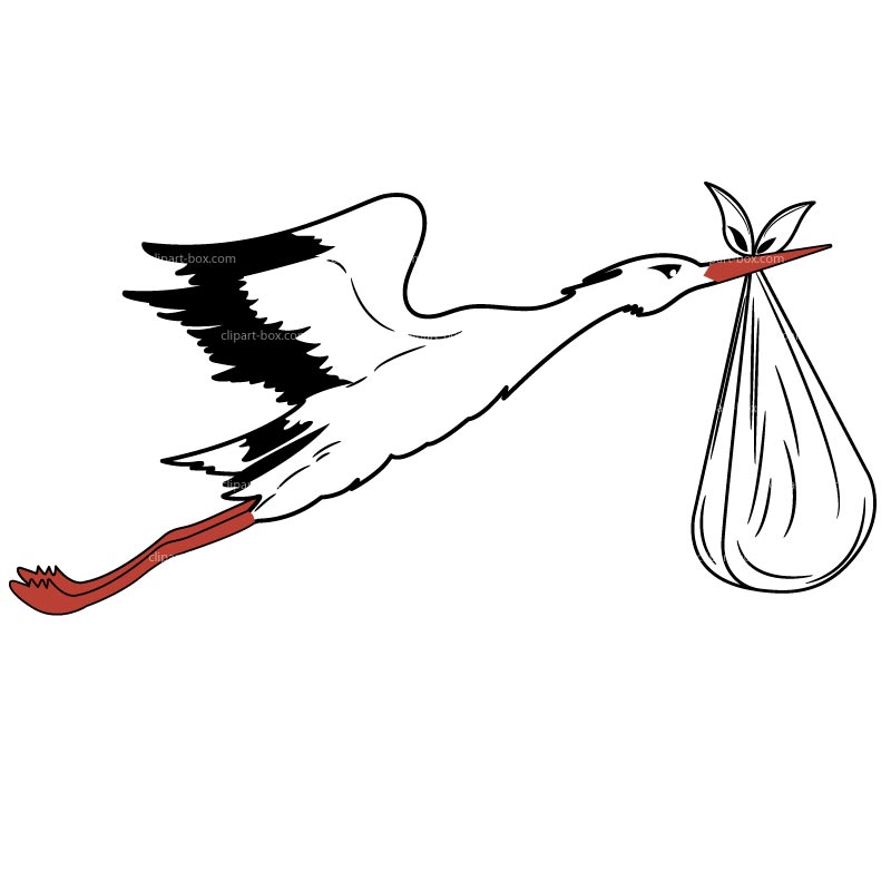 Baby Clipart Stork - Clipartion.com