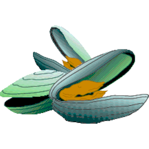 Clams 1 clipart, cliparts of Clams 1 free download (wmf, eps, emf ...