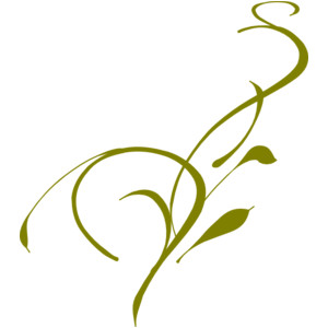 Olive Green Vine clip art - Polyvore