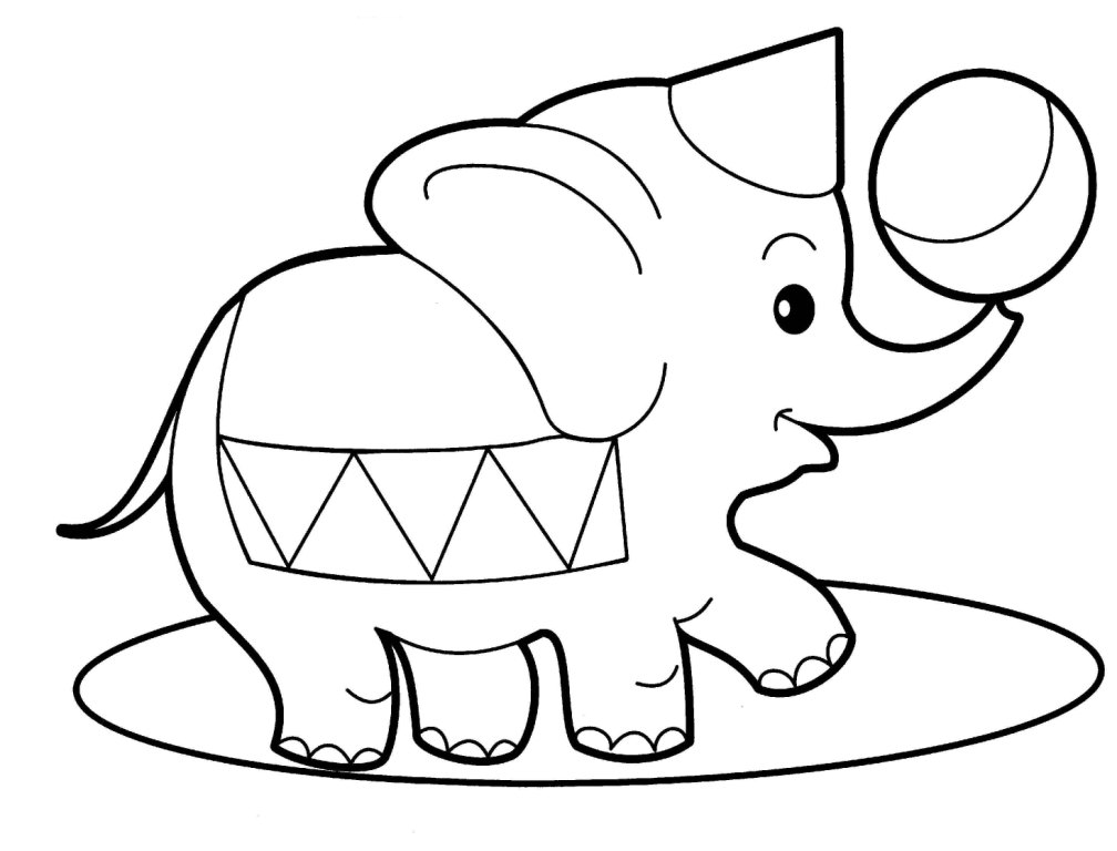 Elephant Pictures For Kids