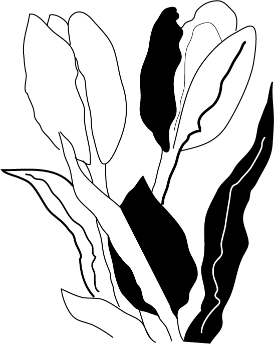Sabina Wroblewski Gustrin - Graphic Design & Inspiration: March 2009
