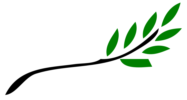 Olive branch Pictures, Olive branch Image, nature Photo Gallery