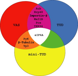 Isolation of new polar granule components in Drosophila reveals P ...