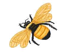 ANIMAL Teachers: Crawling Ones: Bumble Bee