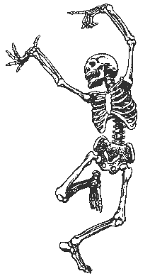 Free Halloween Skulls and Skeletons Clipart Graphics and Images