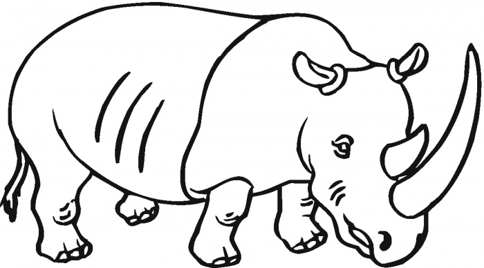 Rhino coloring pages | Super Coloring