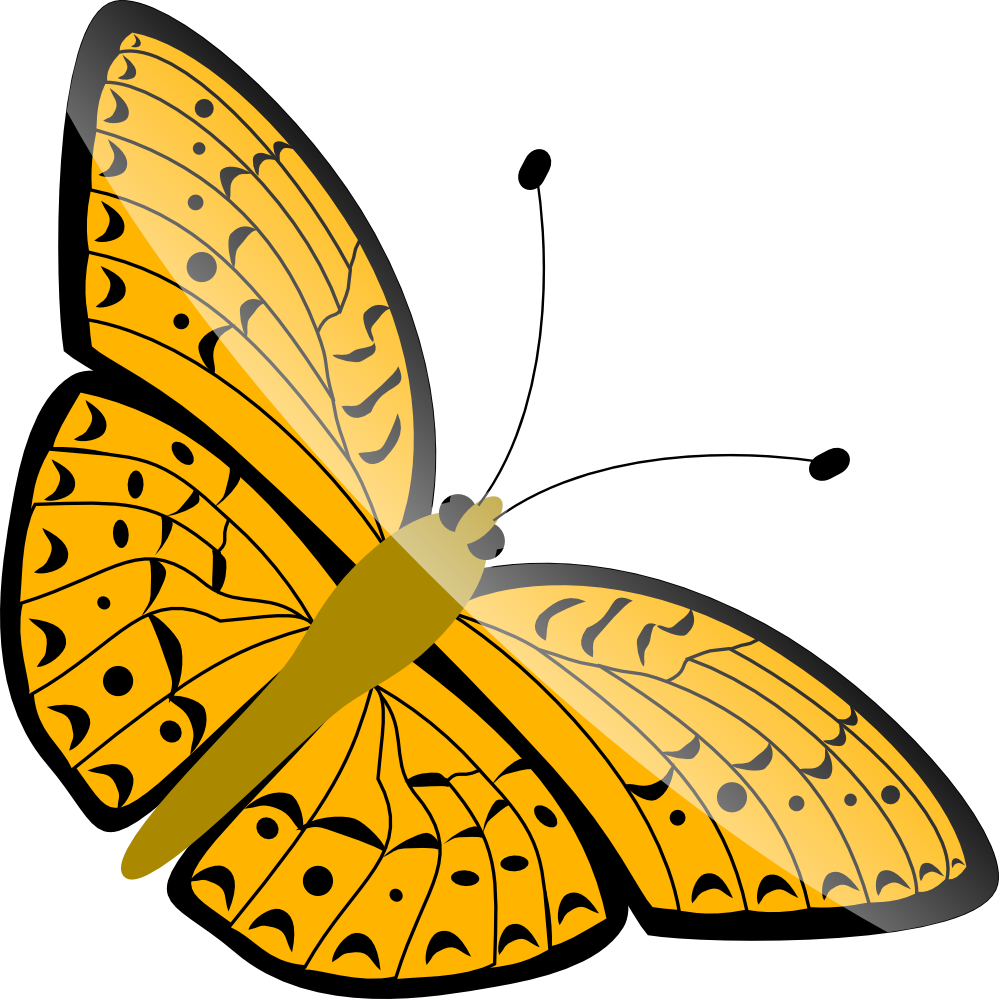 Butterfly 12 xochi.info scallywag Flower Plant Botany xochi.