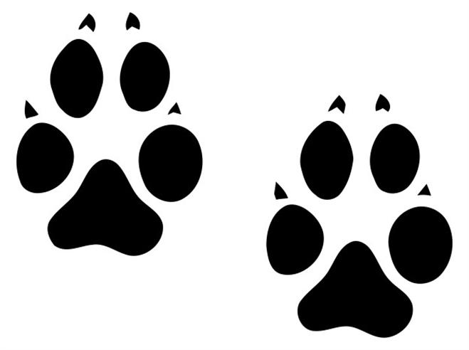 6 Sets Wolf Animal Tracks Vinyl Wall Art Decal Sticker Home Decor ...