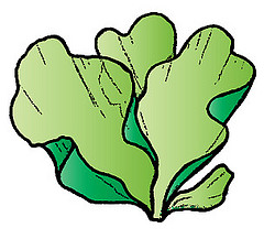 Cartoon Seaweed - ClipArt Best