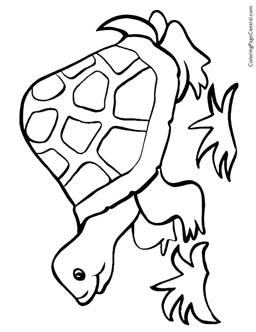 Tortoise 01 Coloring Page | Coloring Page Central