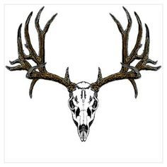 Deer Skull Drawing | Deer Skull ...
