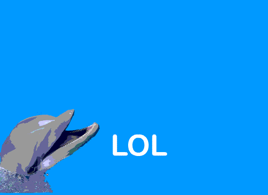 Dolphin GIFs - Find & Share on GIPHY