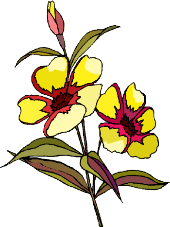 Index of /cliparts_transpa/fleurs/
