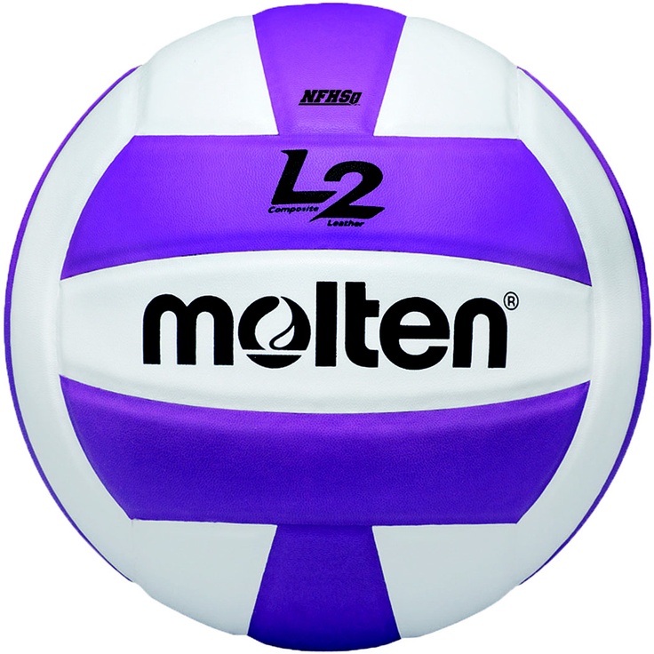 Molten Volleyball