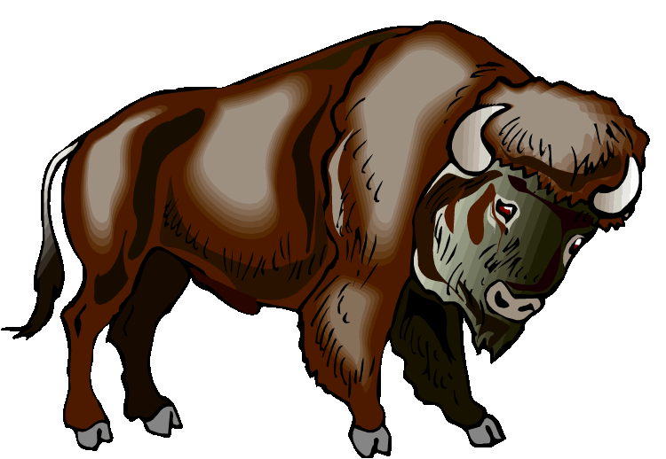 Bison Clipart | Free Download Clip Art | Free Clip Art | on ...