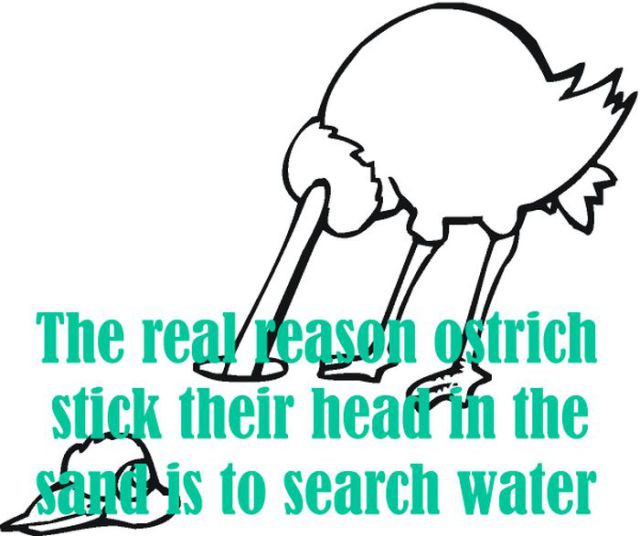 Random Fun Facts You Won't Believe. Part 2 (14 pics) - Izismile.com