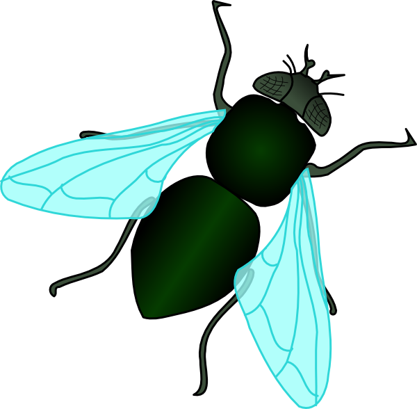 Flies Clipart