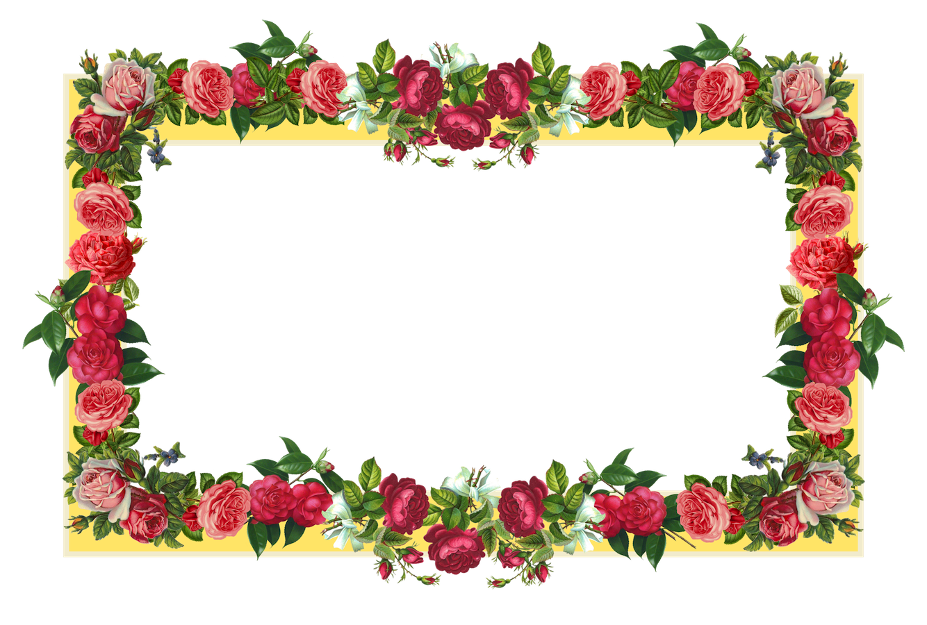 Flower Border Png | Free Download Clip Art | Free Clip Art | on ...