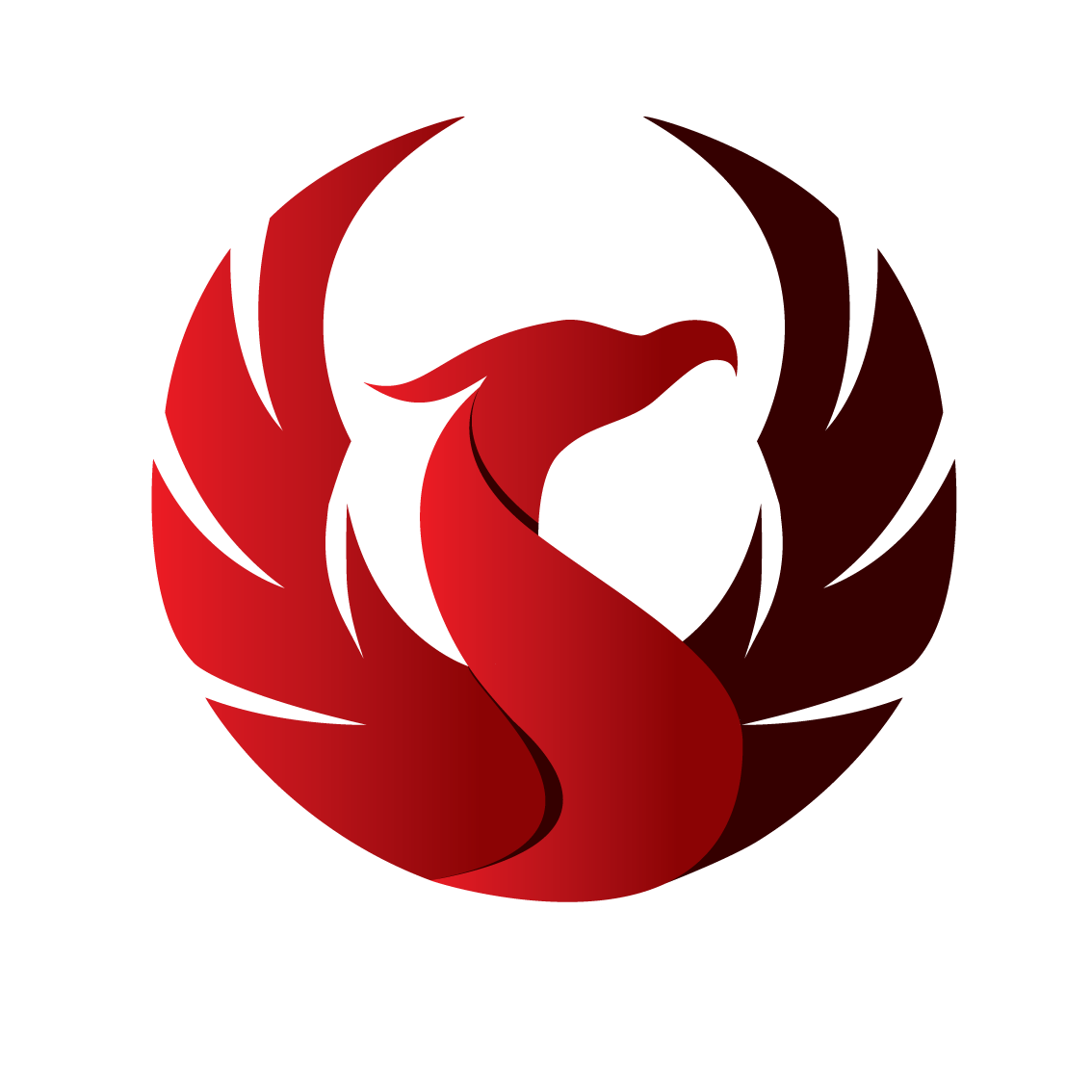 Google, Search and Phoenix