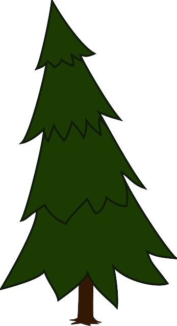 Pohon Cemara Kartun - ClipArt Best