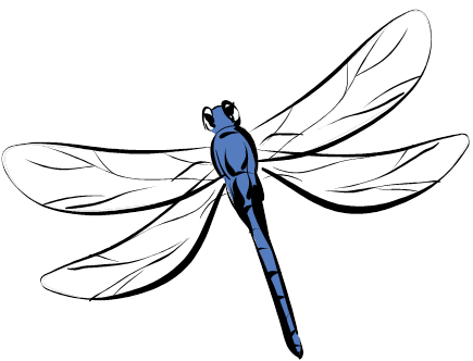 Dragonfly outline clipart