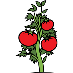 Tomato tree clipart