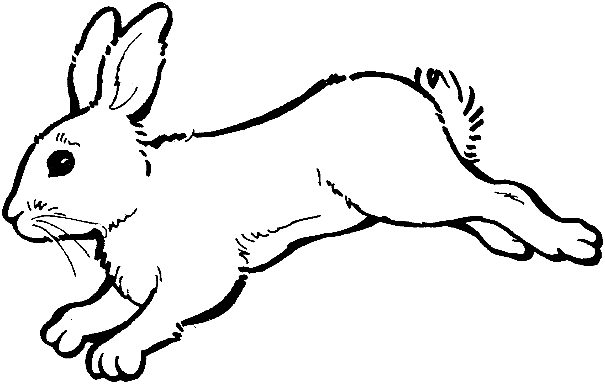 Rabbit black and white clipart