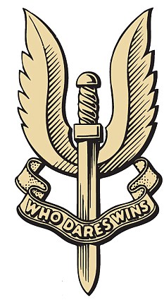 SAS Colonel quits Army after education perk that lets Forces ...