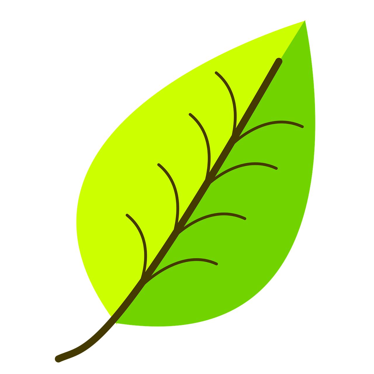 How to draw a leaf: 19 ideas beautiful drawings of leaves - HOW-TO ...