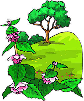 Free Animated Trees - Tree Clipart - Flowers
