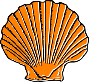 Free Seashell Clipart Pictures - Clipartix