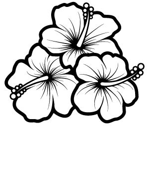Hibiscus Drawing | Hummingbird ...