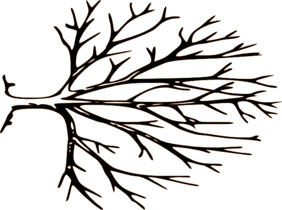 Tree with tree branches clipart