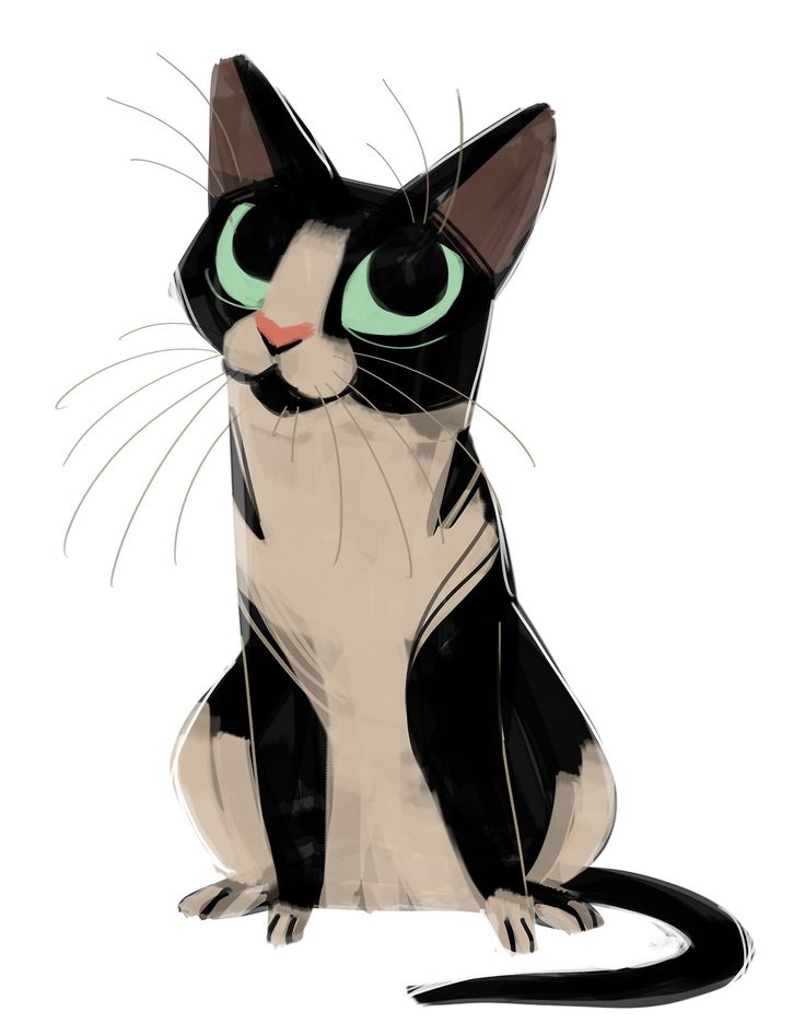 Cat Drawing | Cheshire Cat Drawing ...