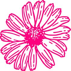 Colors, Happy and Gerbera daisies
