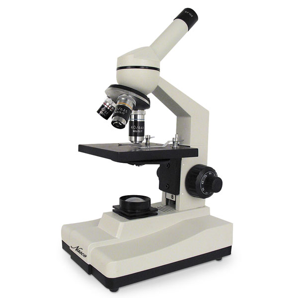 Microscopes & Accessories