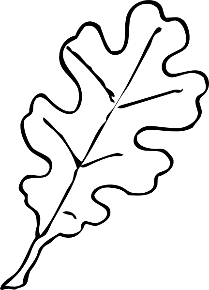 Acorn Outline Clipart