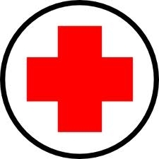Emergency - Harborview Animal Hospital