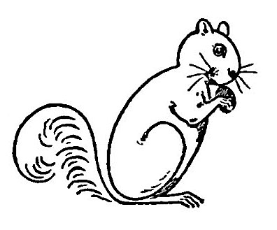 Squirrel Clip Art Black And White - Free Clipart ...