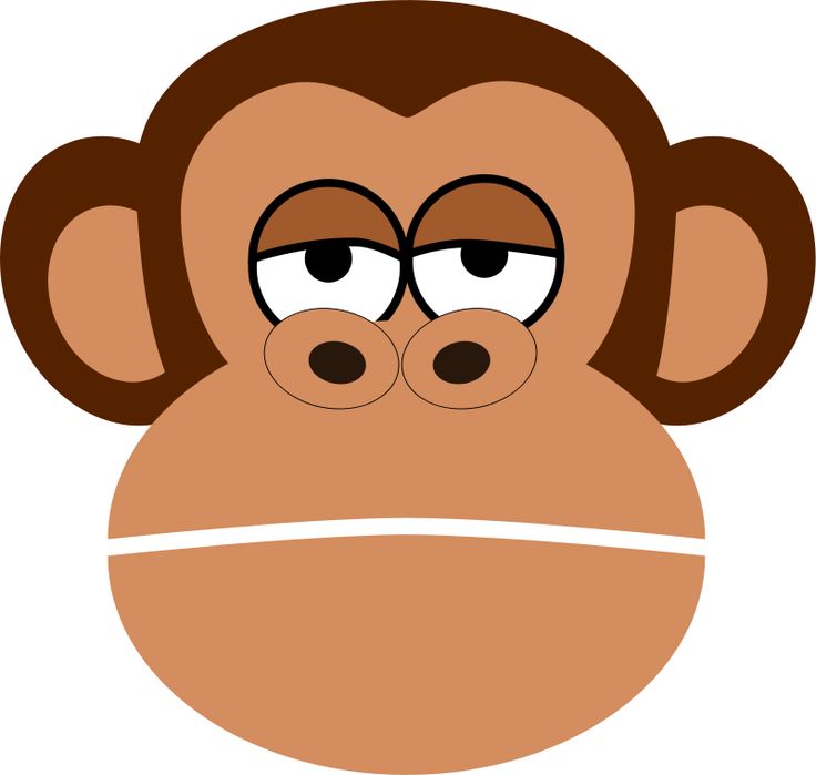 1000+ images about Monkeys More Then One Left On The Bed on ...