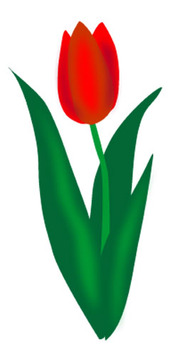 Tulip flower clip art free free clipart images image #38802